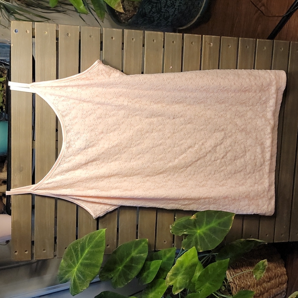 Pale Pink 3X tank or mini